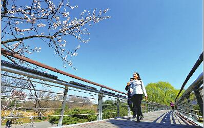 济南空气质量实现“五年大变样” 良好率从不足两成到超过五成
