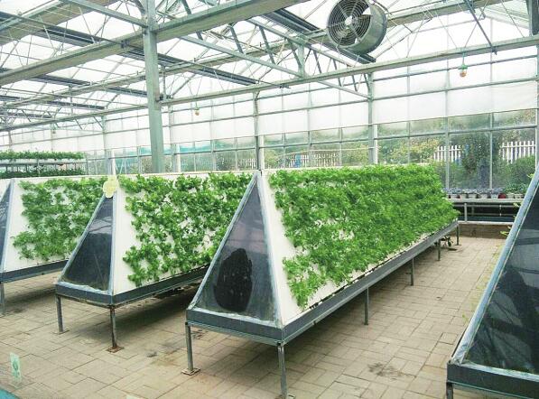 有温度、有速度、有监管、有效果 济南市打造“菜篮子”直通车进社区的“济南样板”