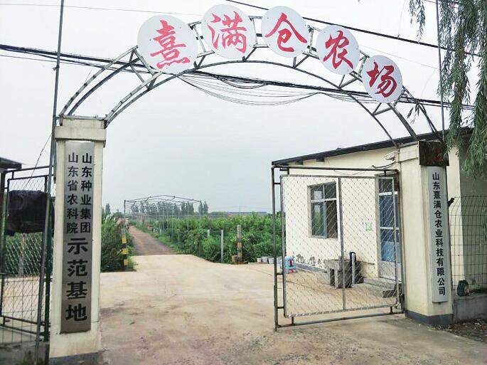 有温度、有速度、有监管、有效果 济南市打造“菜篮子”直通车进社区的“济南样板”